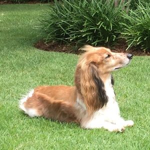 Meet your Posher, Heidi